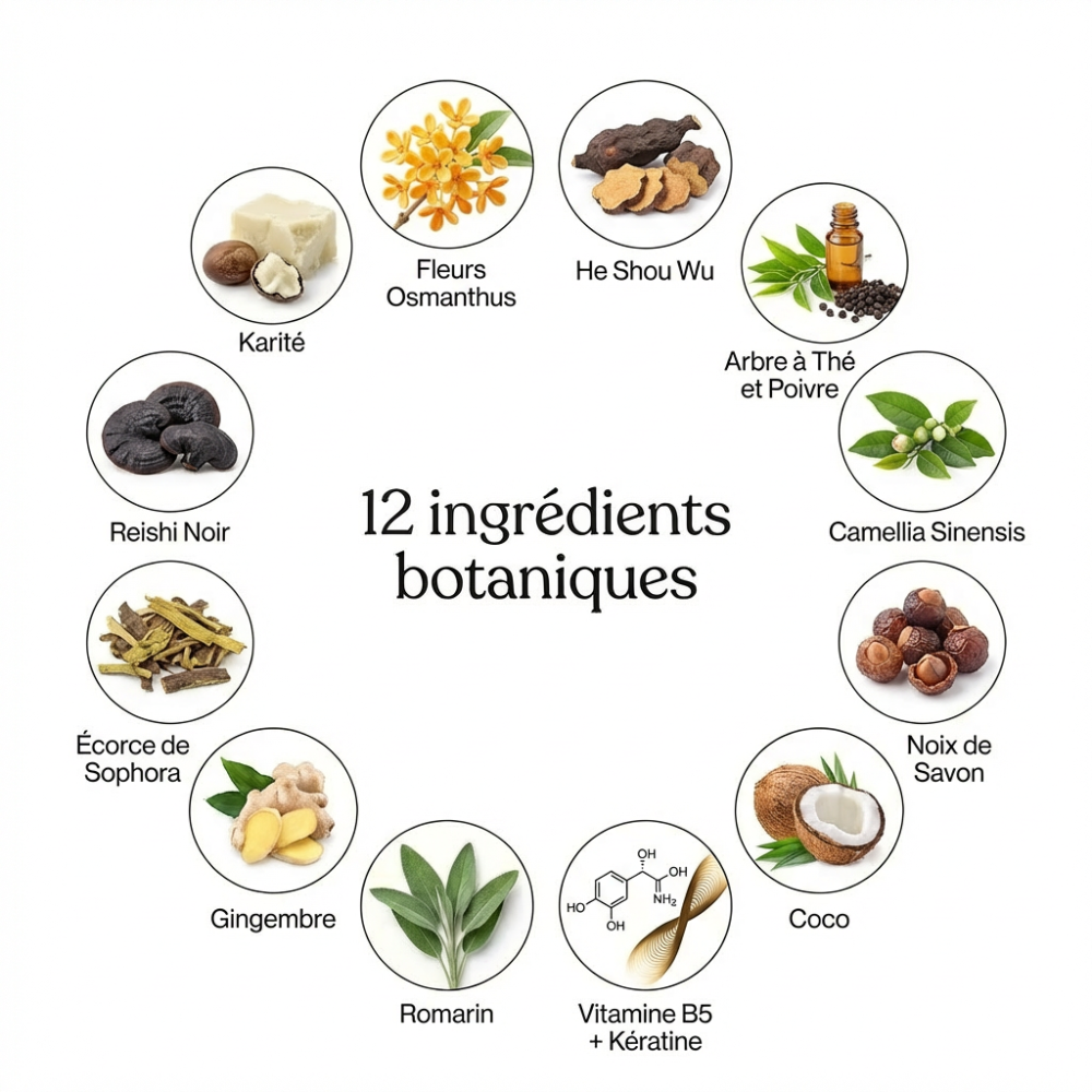 KokoRean - Le rituel doux qui respecte votre cuir chevelu